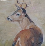Olga Zakharova Art - Animals - The Deer