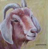 Olga Zakharova Art - Animals - Billy Goat