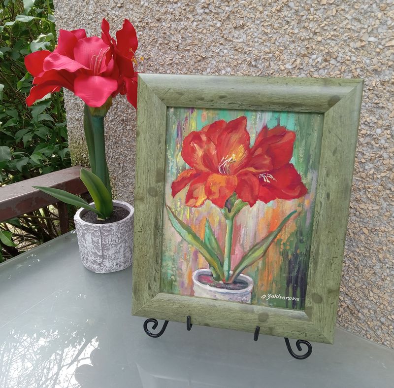 Amaryllis