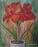 Olga Zakharova Art - Floral - Amaryllis