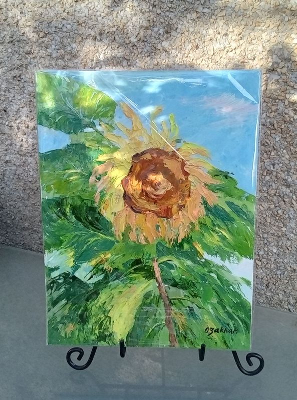 Solitary Sunflower