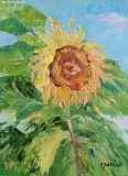 Olga Zakharova Art - Floral - Solitary Sunflower